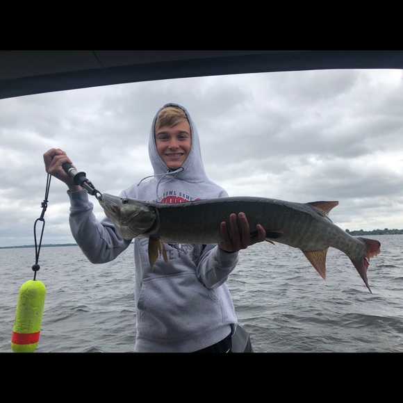 Meet your Posher, Matthew - Picture 1 of 1